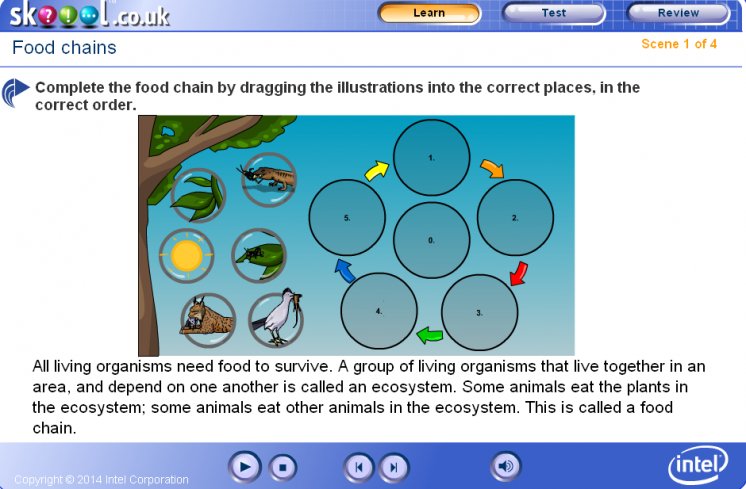FOOD CHAINS. UNIT 2 PRIMARY 5