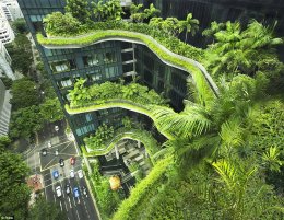 PARKROYAL on Pickering is a hotel in the heart of Singapore. The hotel, which opened in 2013, has 15,000 square metres of 'skygardens', expanses of lush greenery and cascading plants that run along balconies and walkways across four floors
