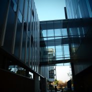 University of New South Wales Architecture